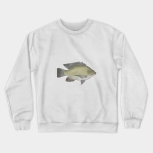 Mango Tilapia Crewneck Sweatshirt